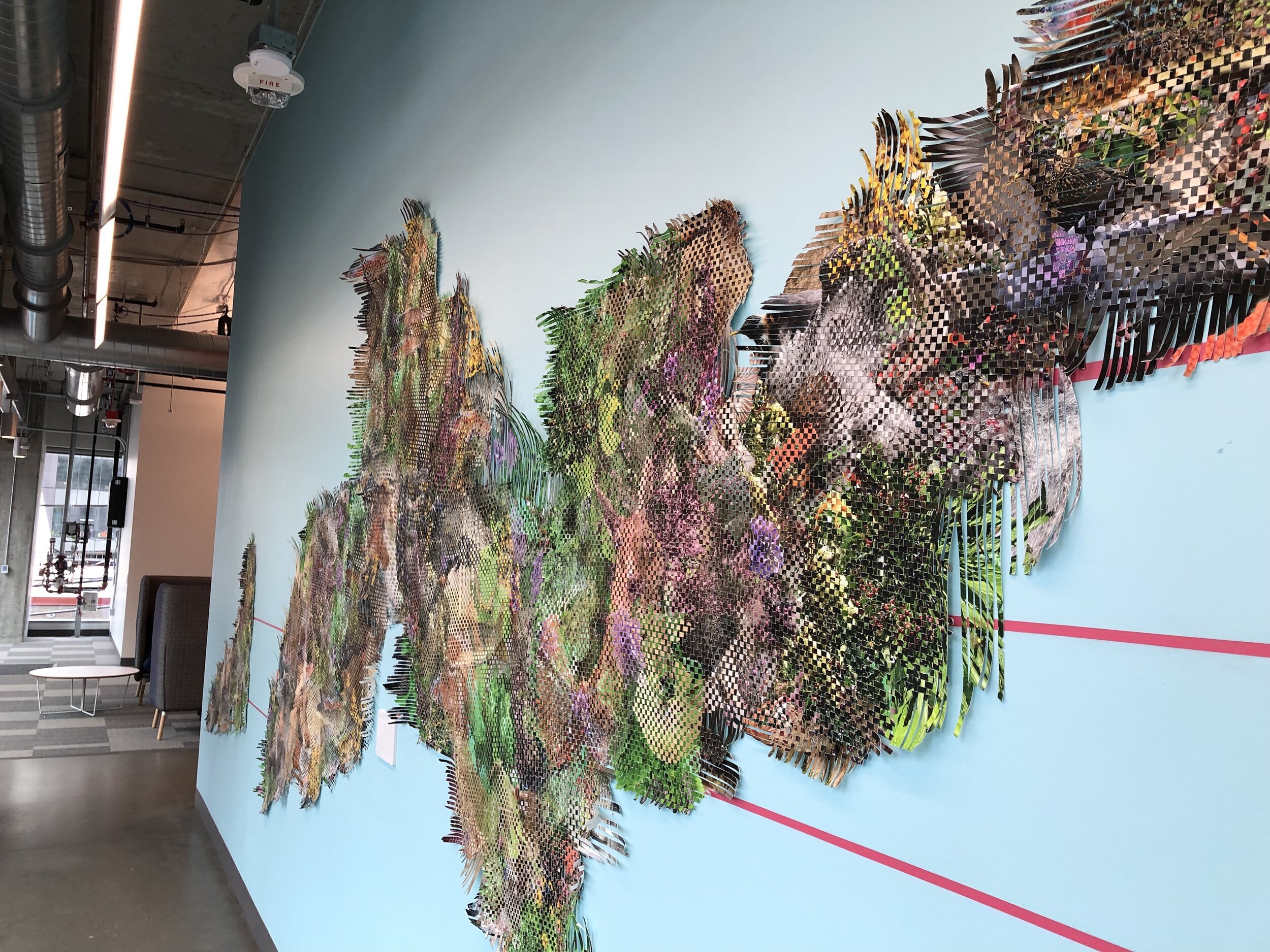  Pangea Revisited    Photos on Paper, Shadowboxes, Insect Pins     2019    Dimensions Variable    Permanent installation for Facebook Offices, Seattle. This second iteration features individual shadowboxes with an eighteen foot weaving of all species