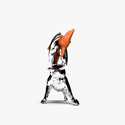 TaylorBryant Cat Dolphin.gif