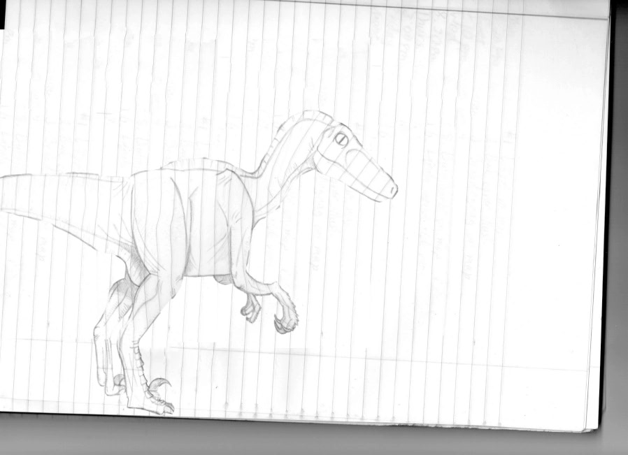 taylor bryant animateseverything6.gif