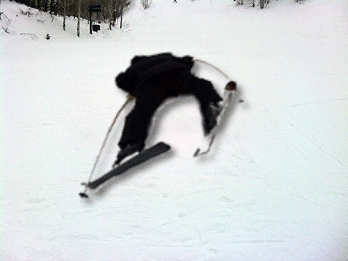 taylor bryant animateseverything9.gif