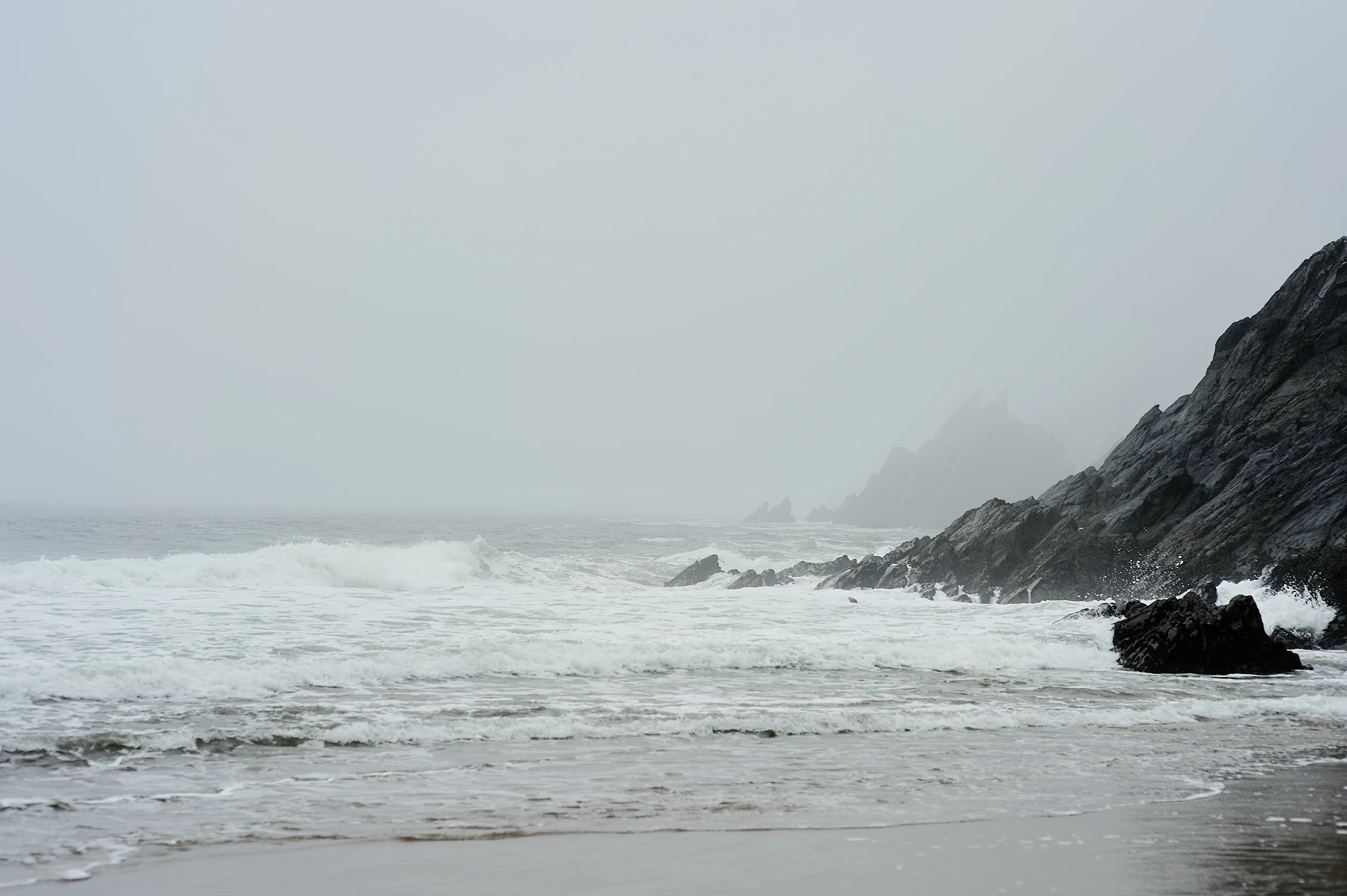 DSC_0663.jpg