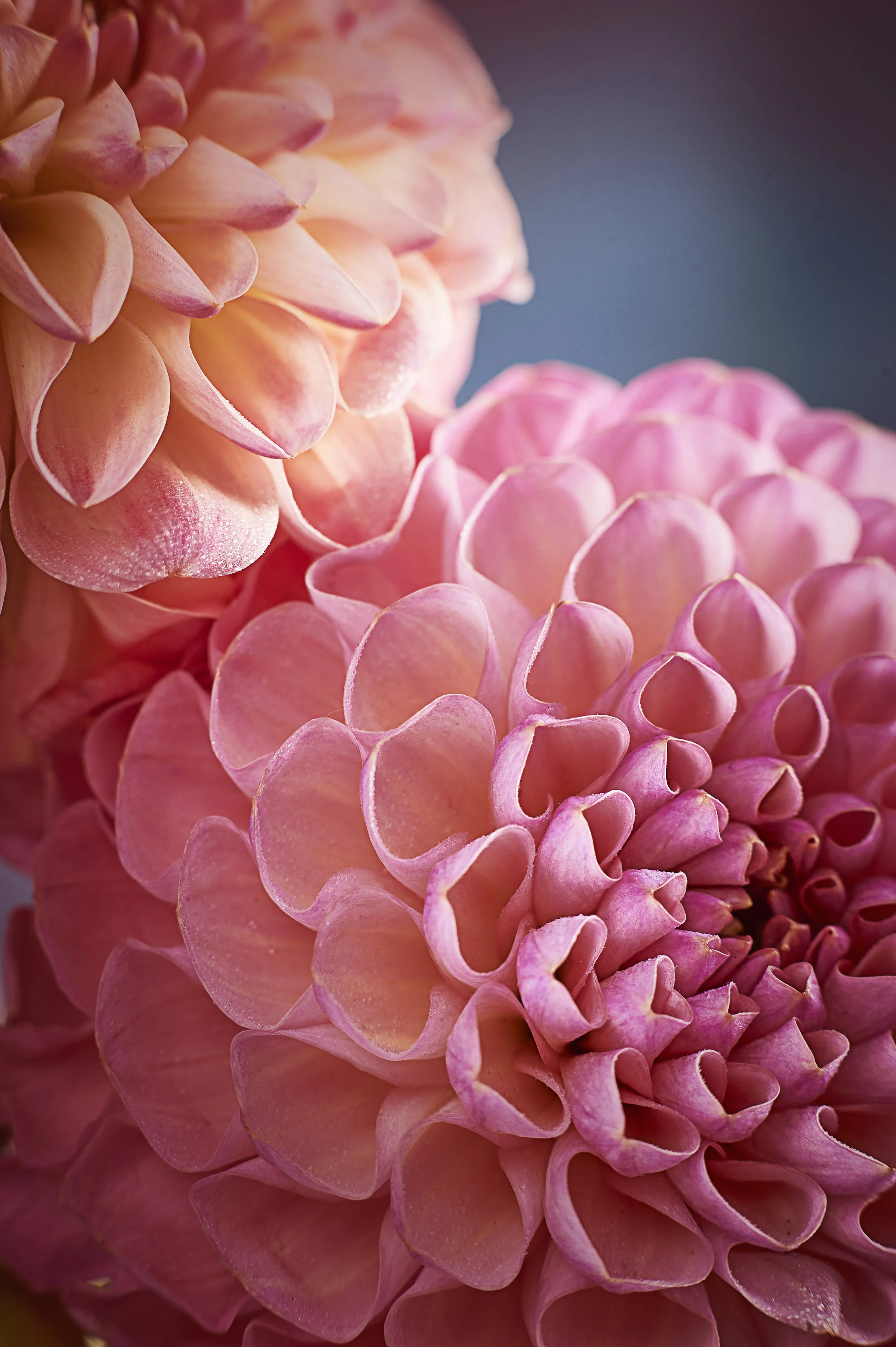 Test_Nikki_260817_0320.jpg
