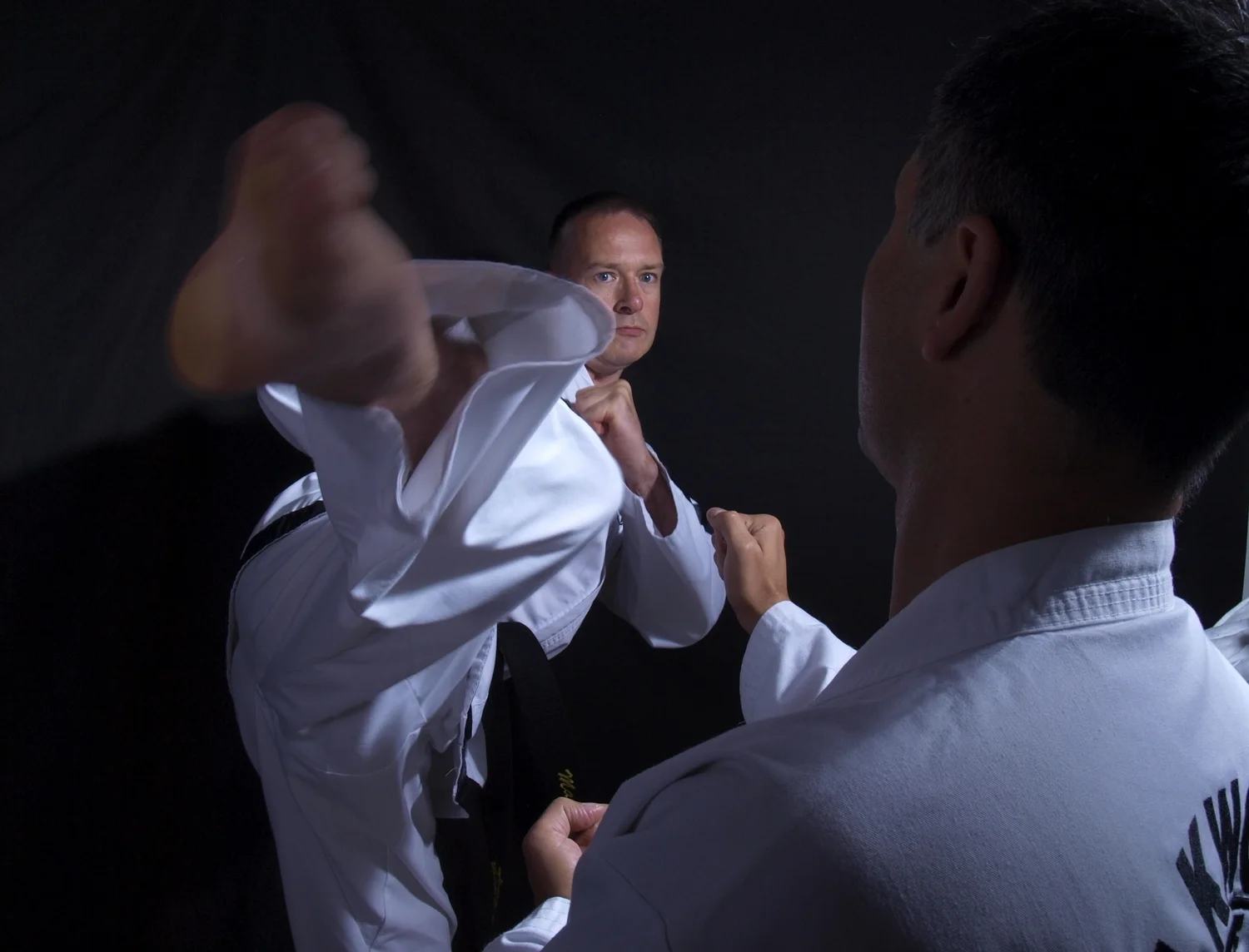 turning kick.jpg