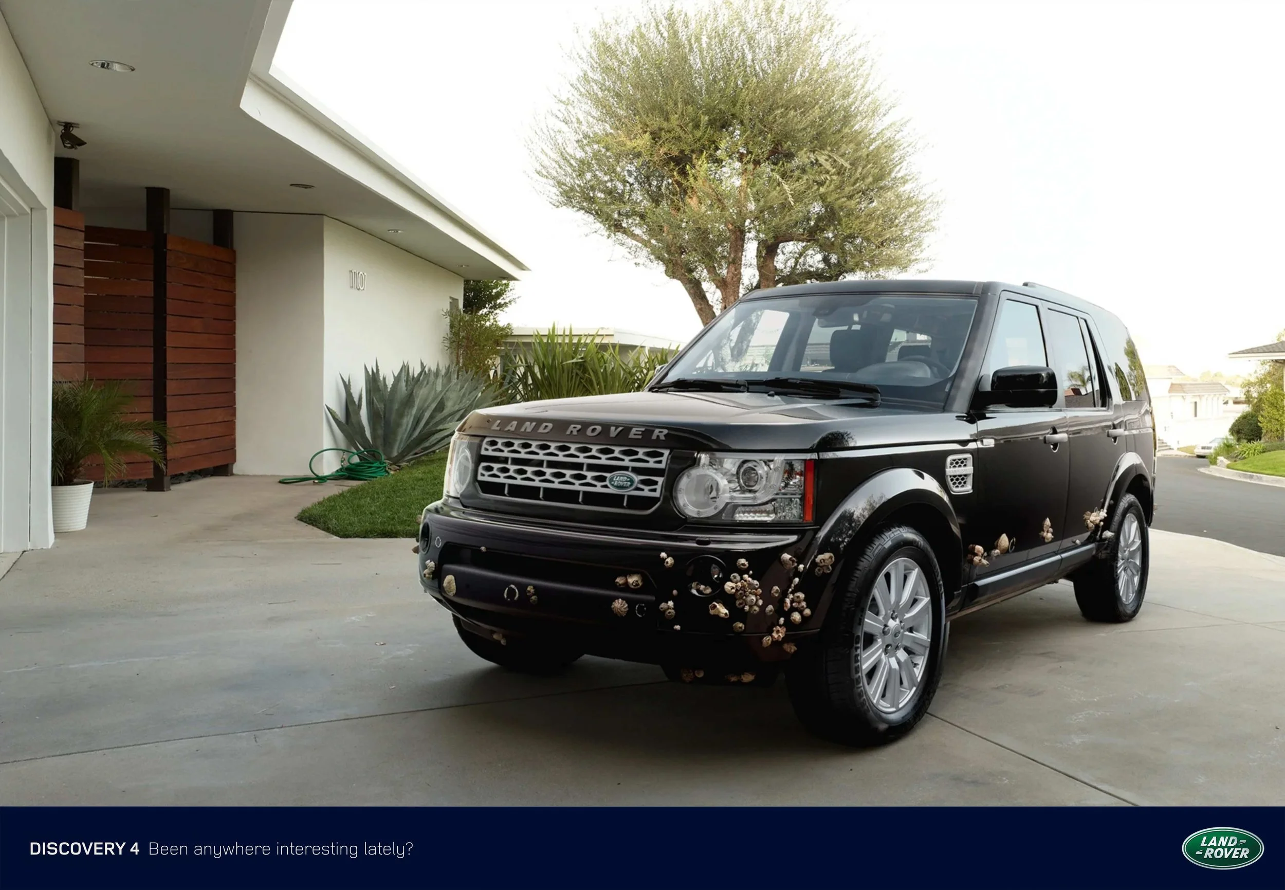 LR31.jpg