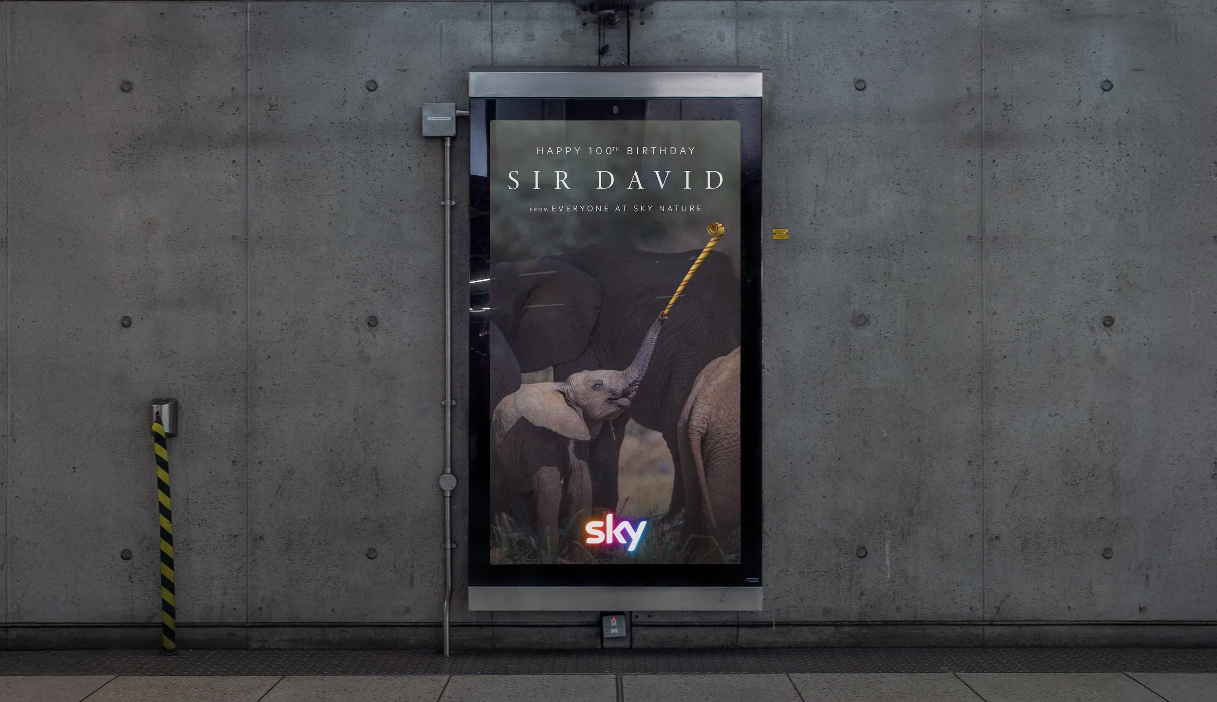 Attenborough-100_Website_D6_1.jpg