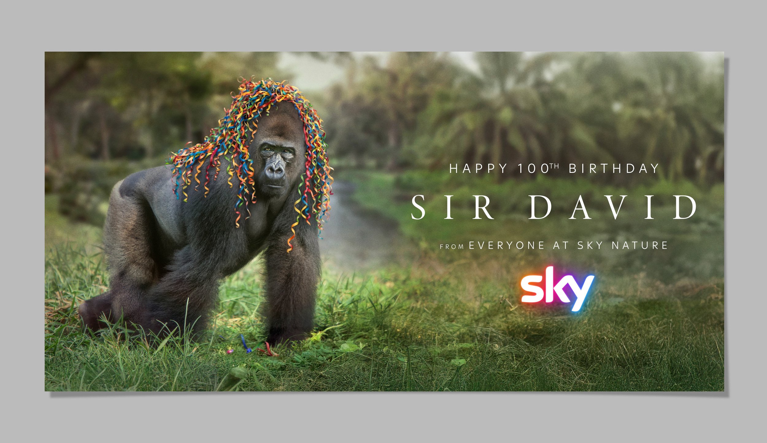 Attenborough-100_Website_Gorilla.jpg
