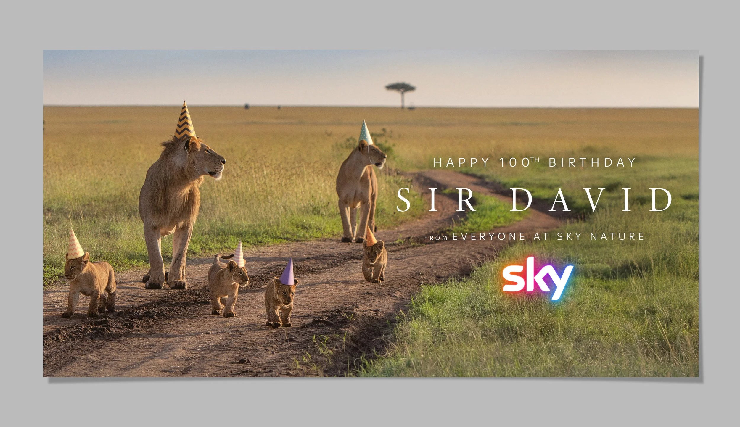 Attenborough-100_Website_Lions.jpg