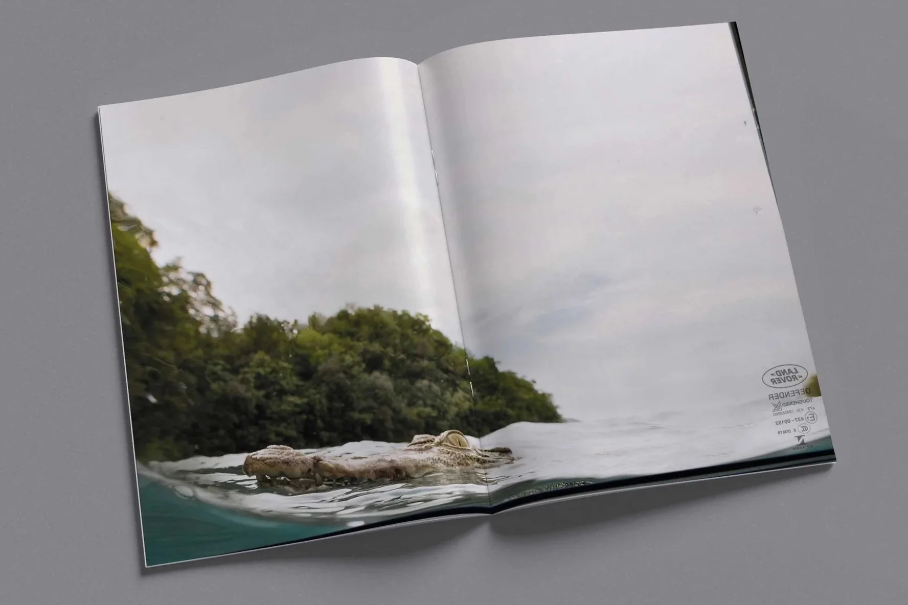 LR-Croc-Magazine.jpg