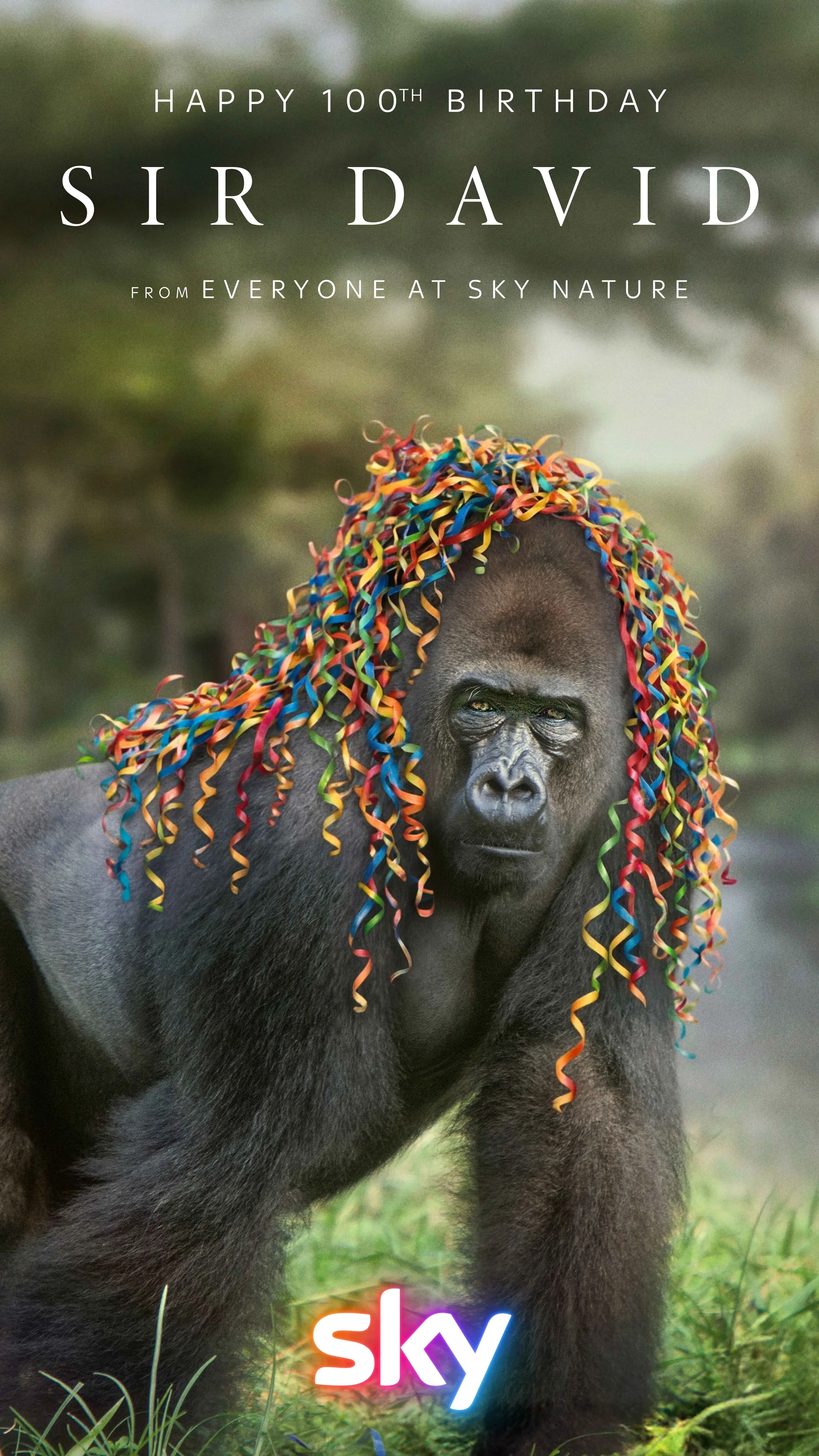 Sky-Nature_OOH_Gorilla.jpg