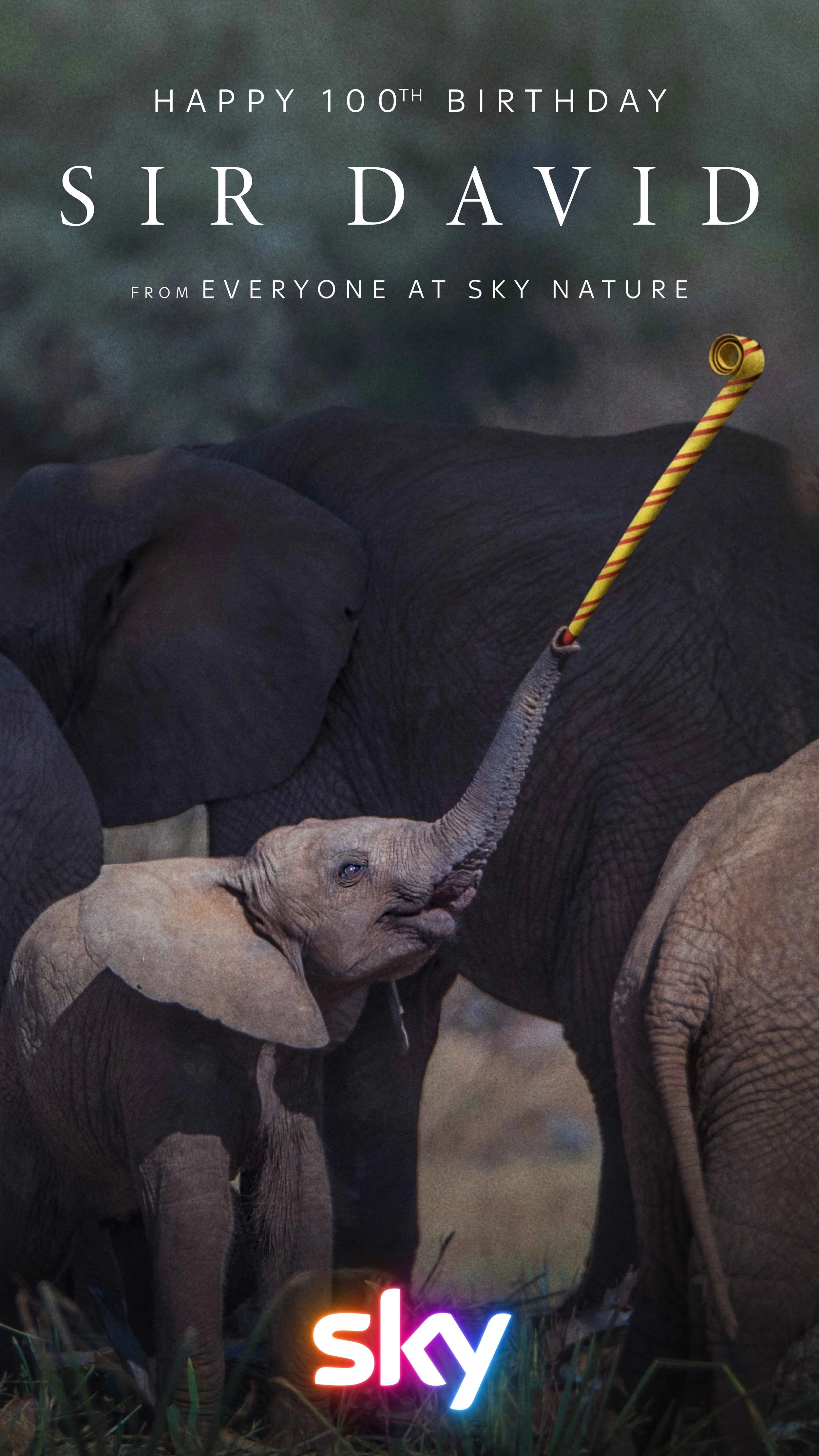 Sky-Nature_OOH_Elephants.jpg