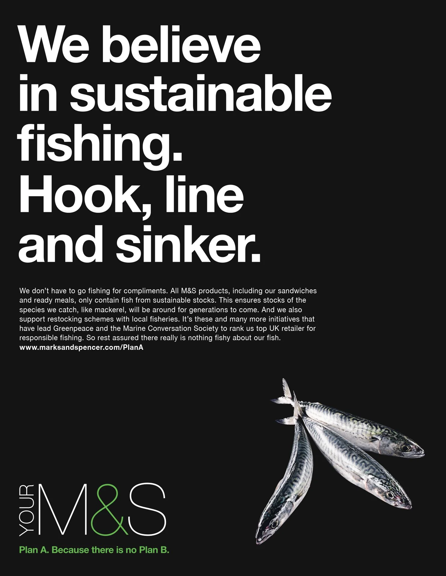 BOOK FISH.jpg