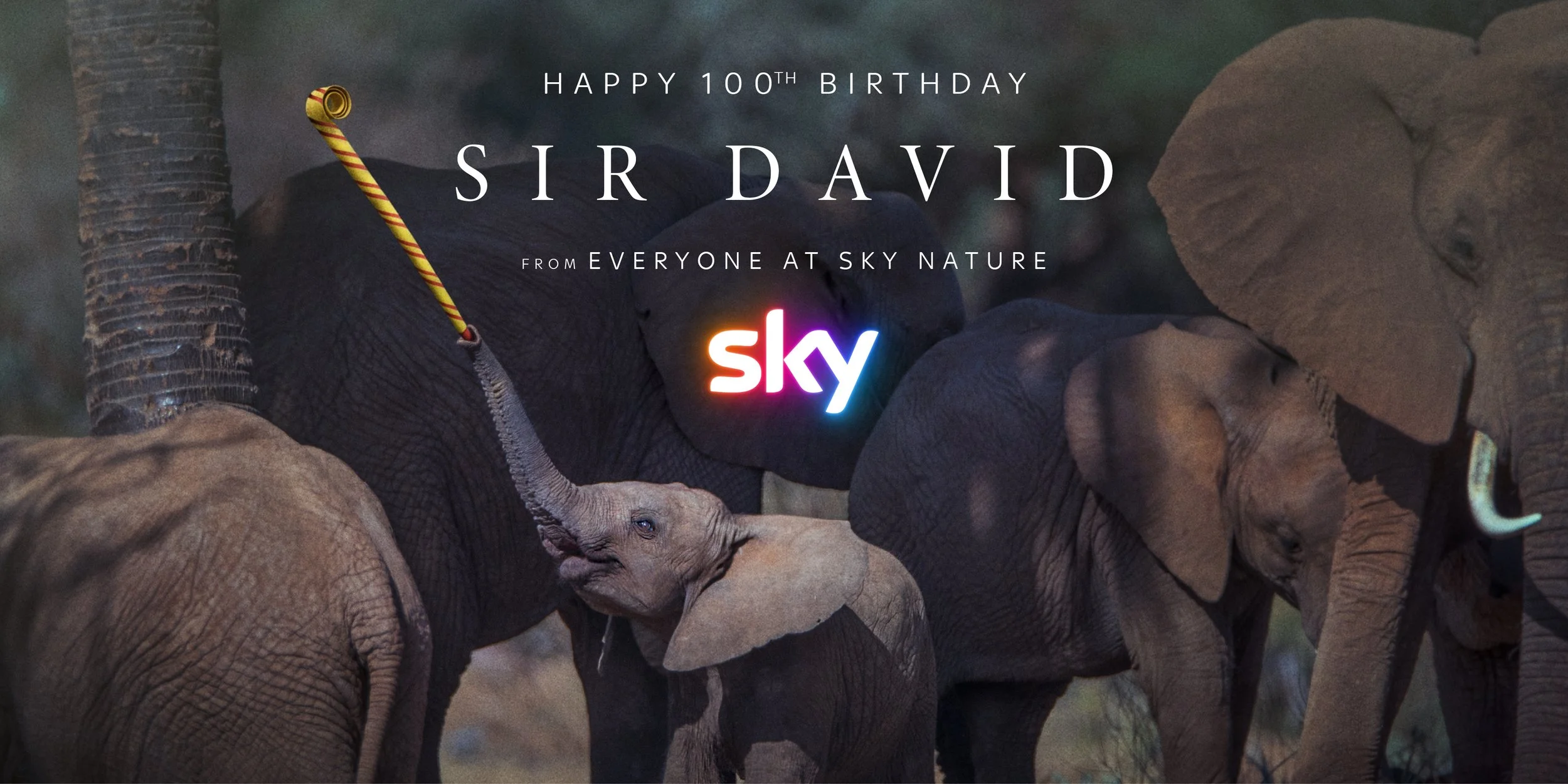 48 Master Attenborough 100.jpg