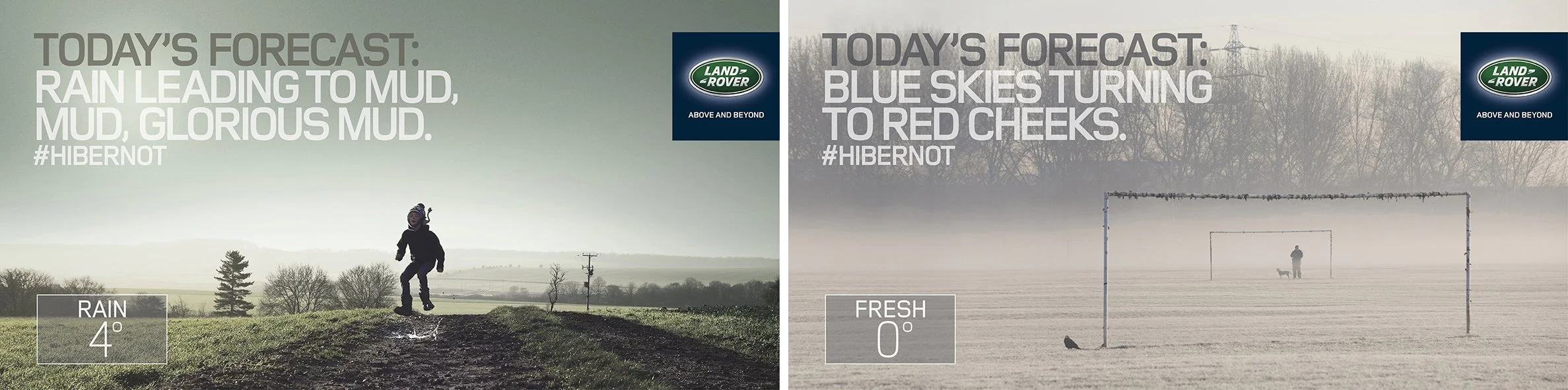 Hibernot Side By Side Reactive.jpg