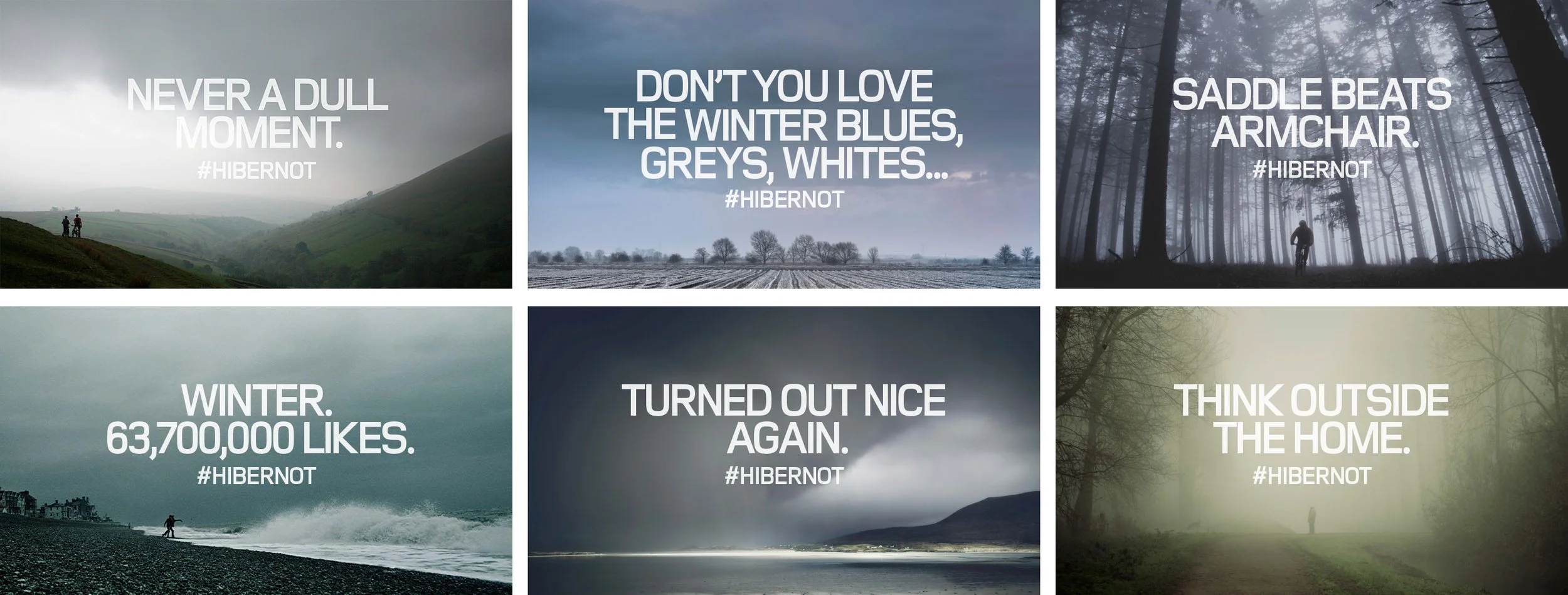 Hibernot Social Lines.jpg