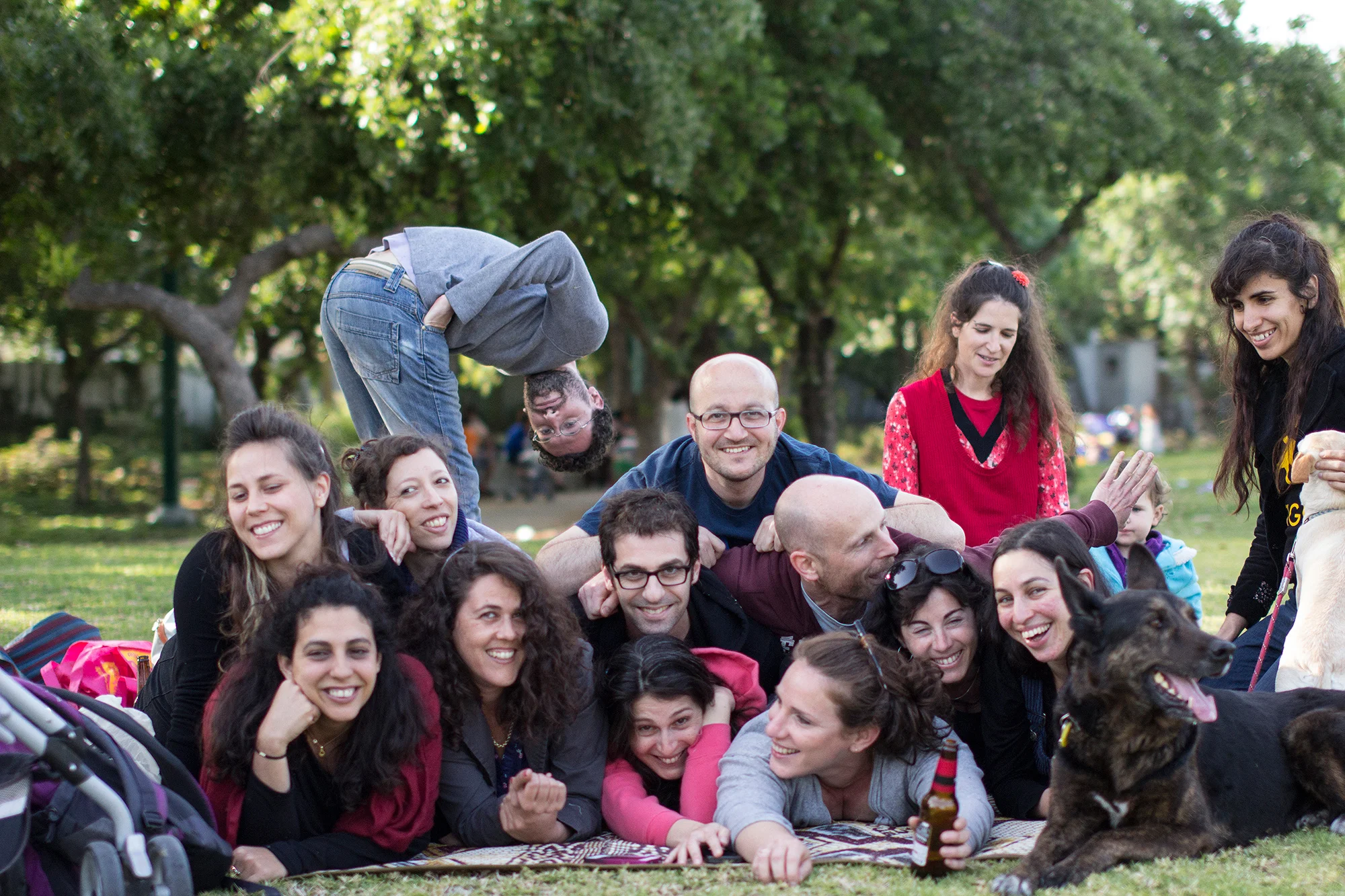 צילום: עדי לוי