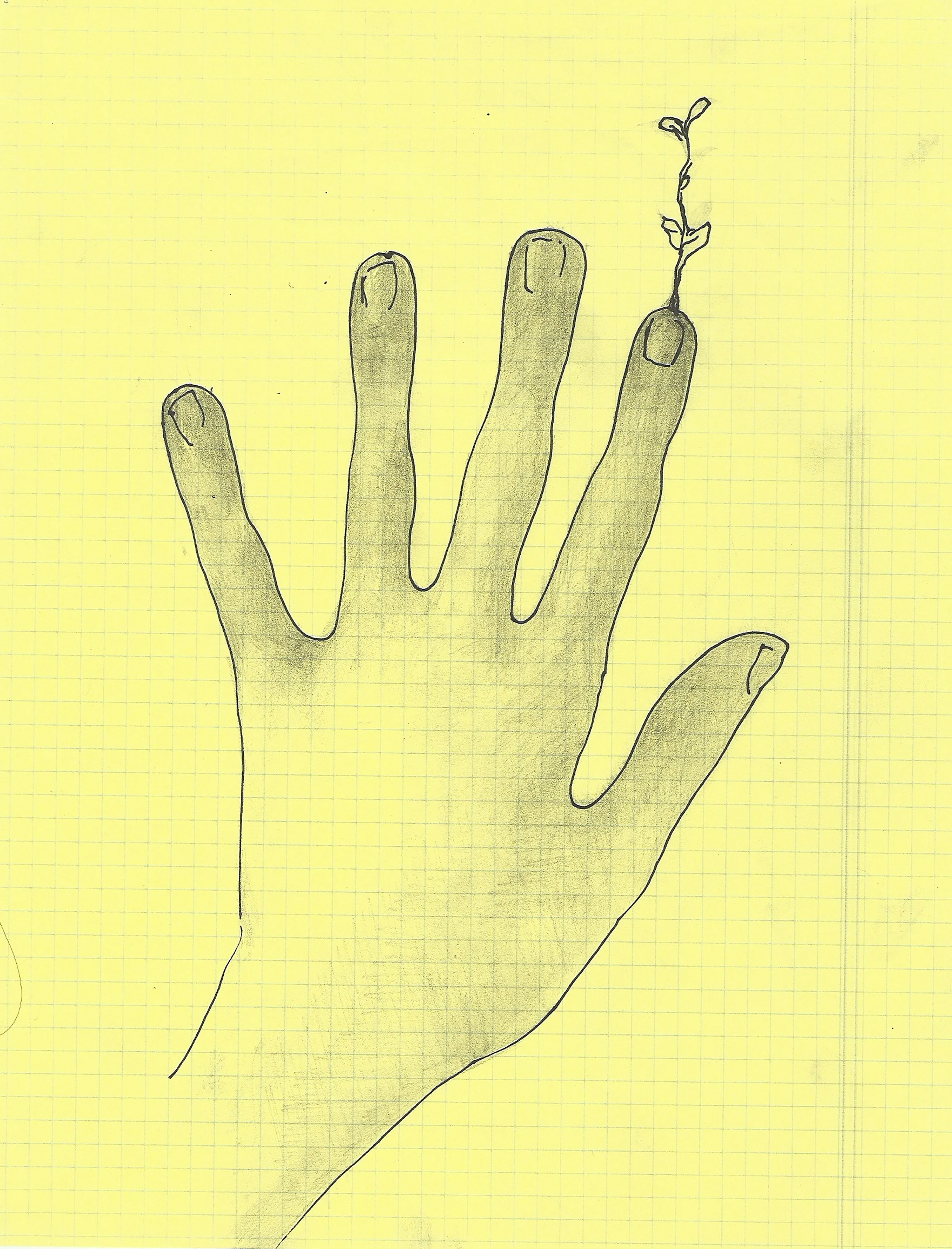 010.jpg