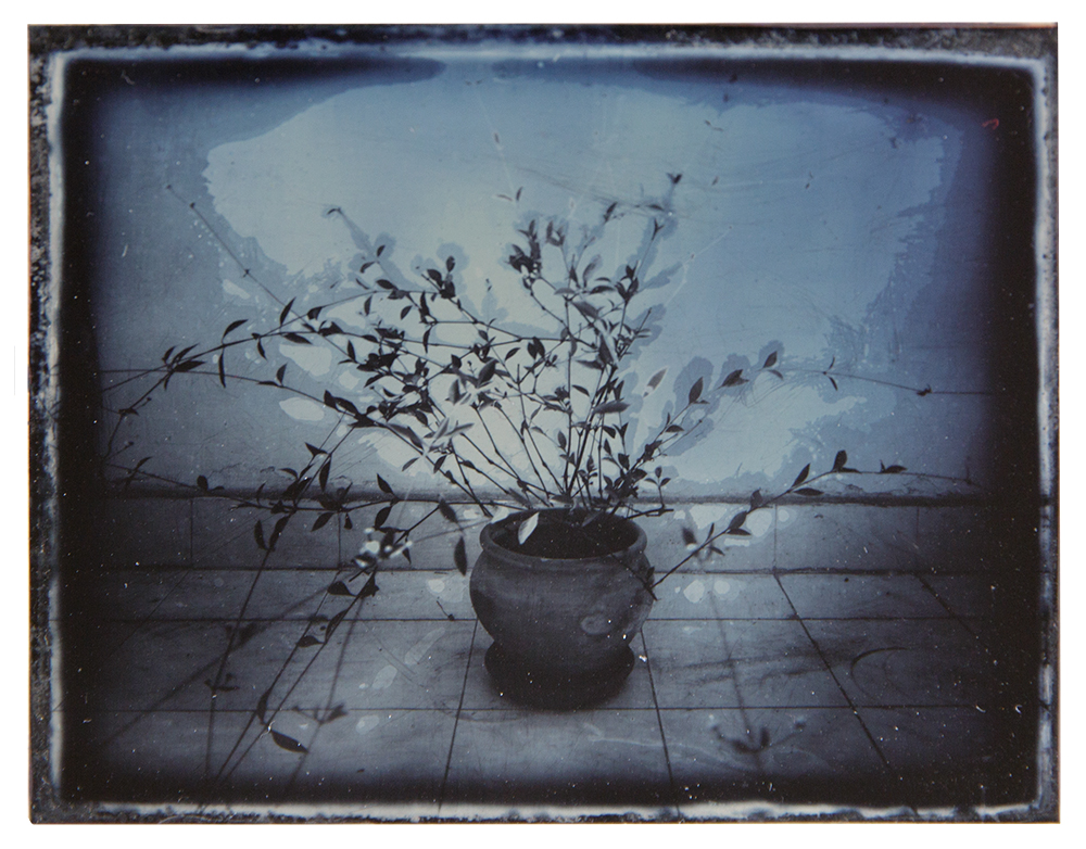 Dafna_Gazit,_Untitled,_Daguerreotype,_11X9cm,_2013.jpg