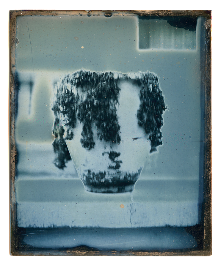 Flowerpot,__Daguerreotype,_11X9cm,_2013.jpg