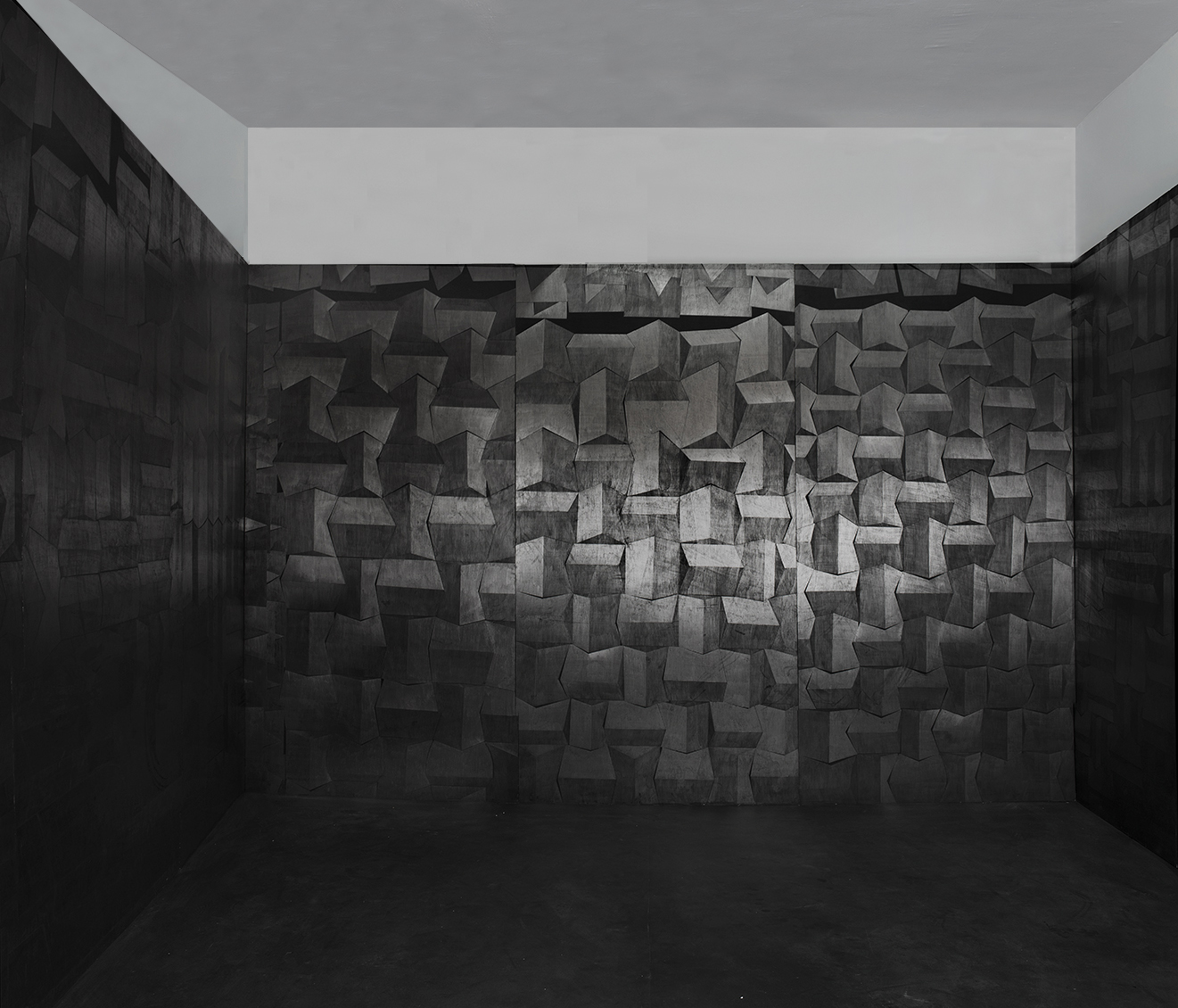Hado, פחם וגרפיט על עץ, מיצב, 2014.jpg
