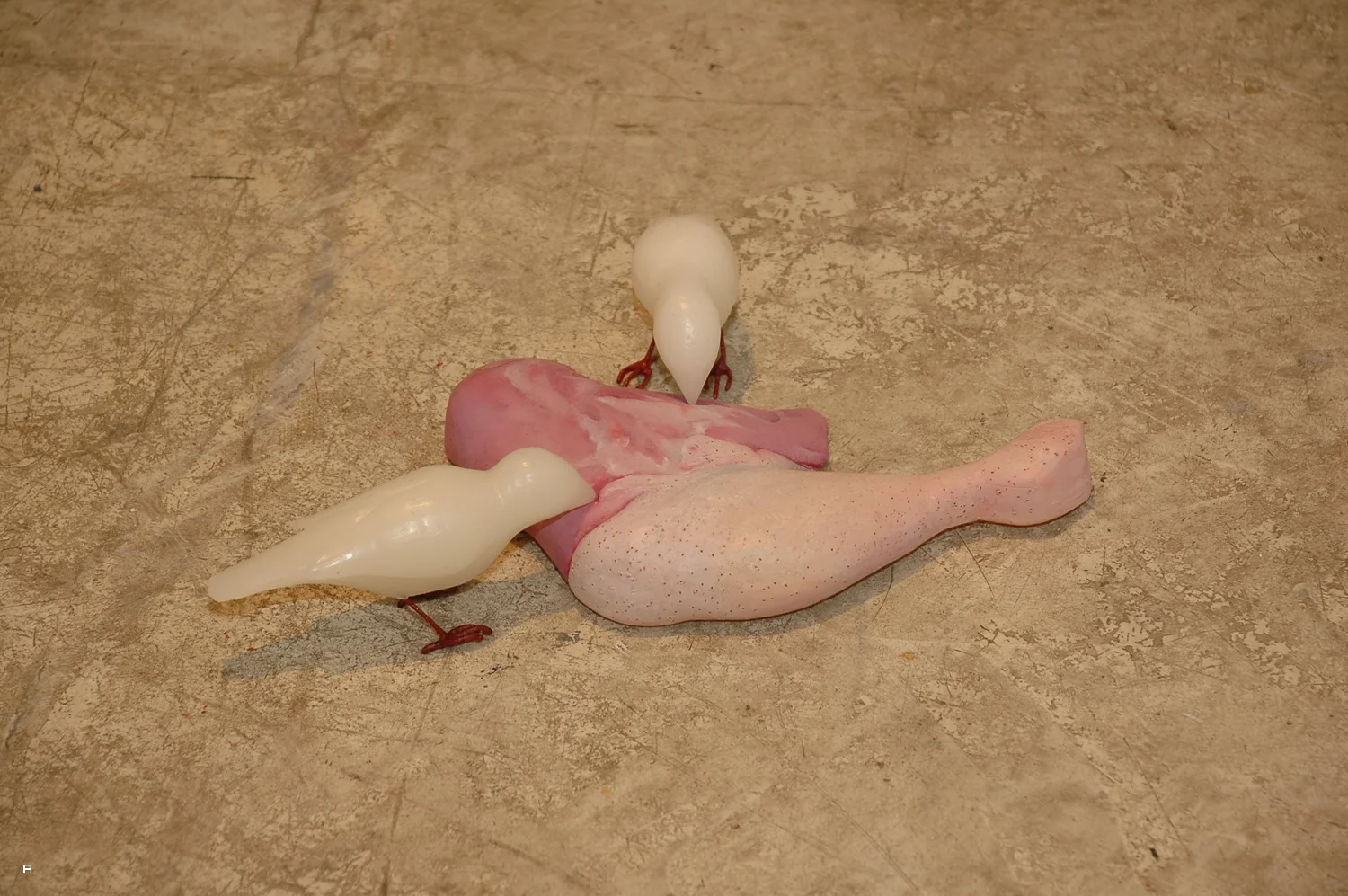 DSC_0169.jpg