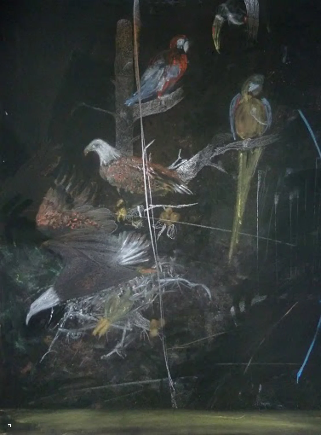 54-64 cm.jpg