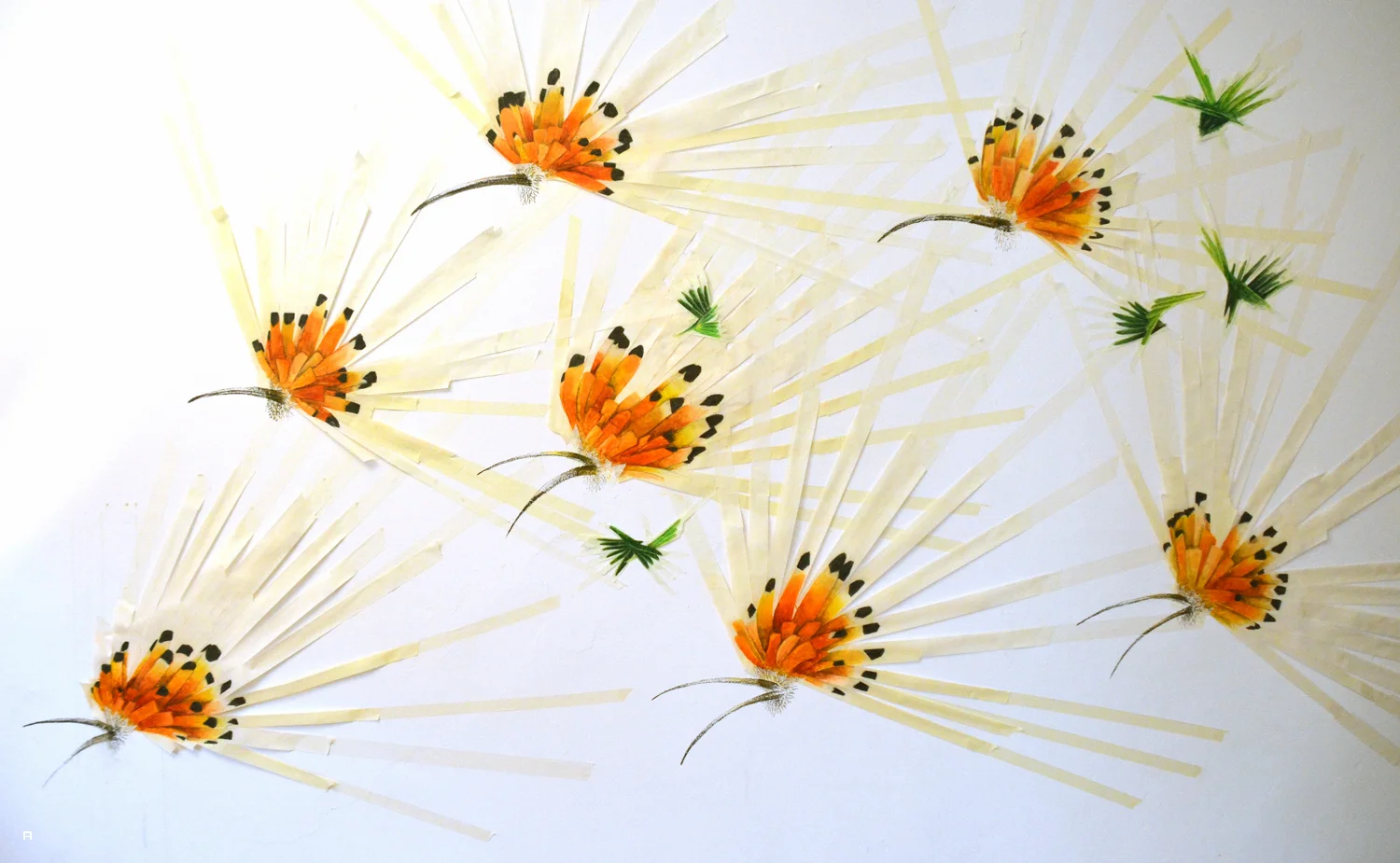 מעשה בדוכיפת