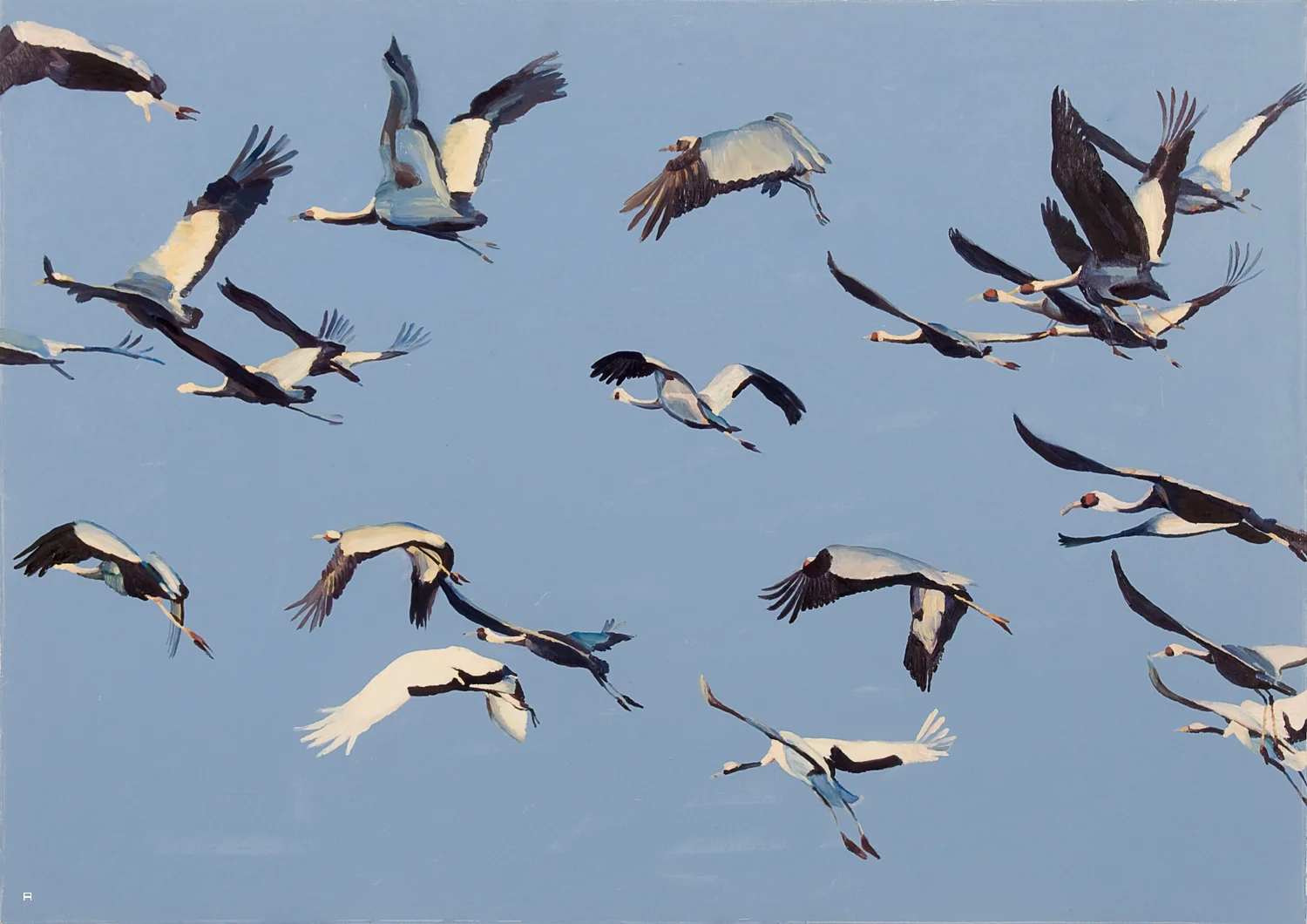 וילה בג'ונגל