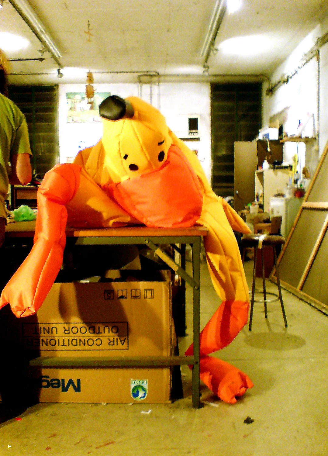 ברווז בגלריה