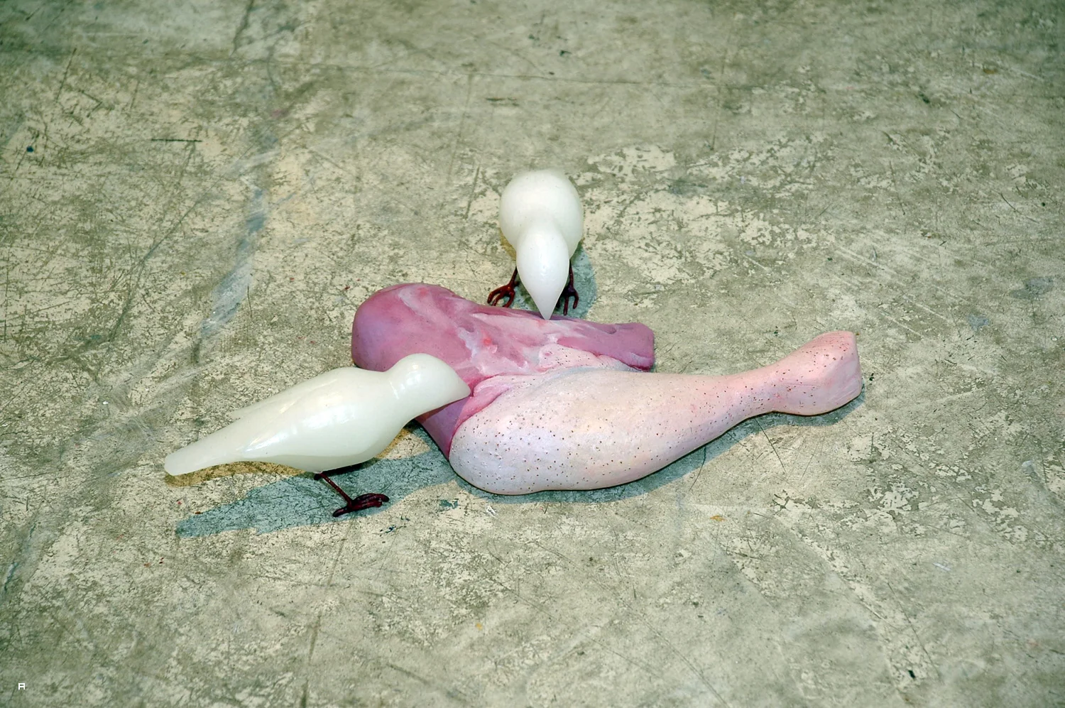 חי צומח דומם