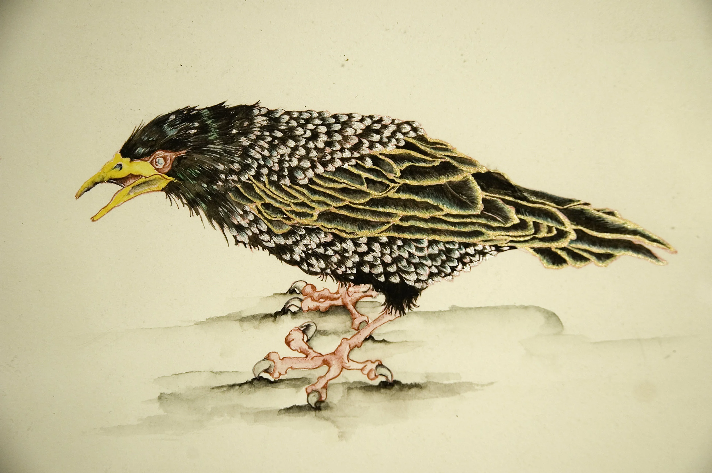 דמיון אמפירי