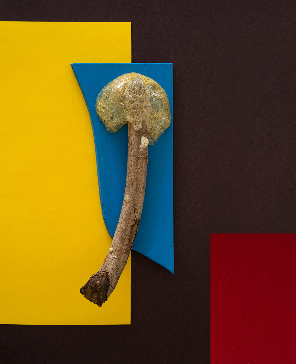 ציקי אייזנברג, לפיד, הזרקת דיו על נייר ארכיבי, 44X54 ס"מ, 2015