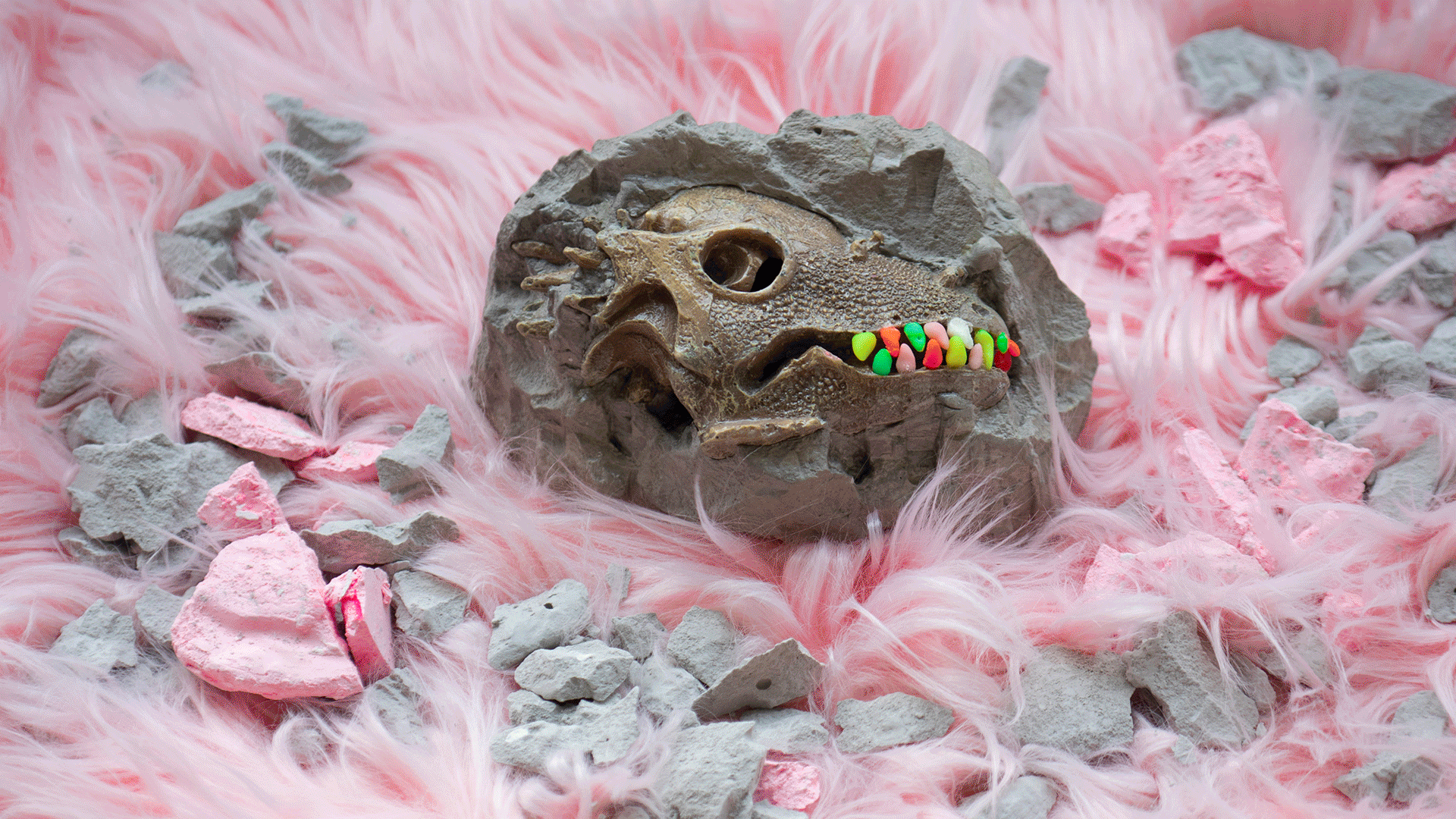 איך לתפוס מכשפה