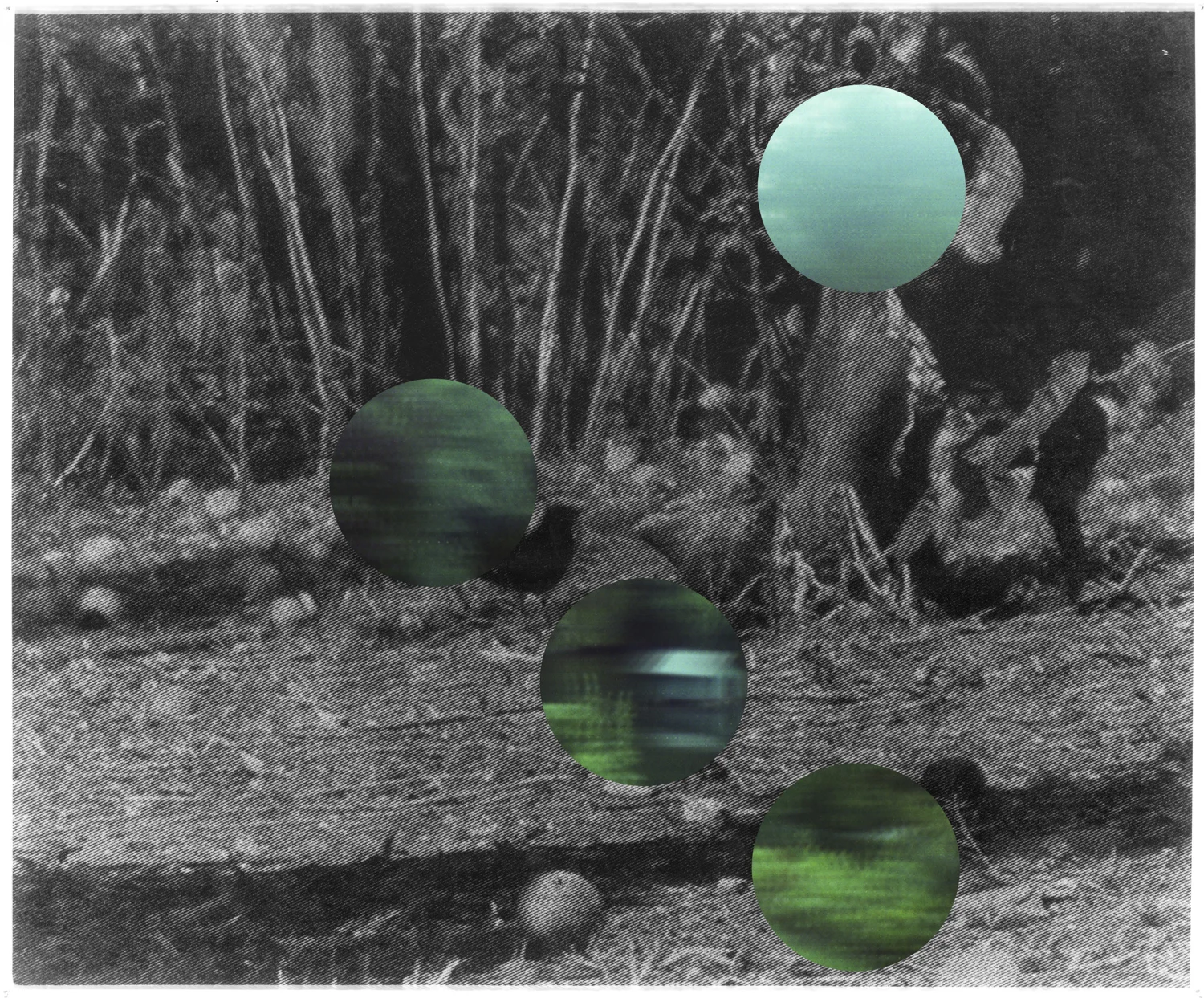 שמרית קרני, Night (פרט), טכניקה מעורבת, 2019. קרדיט צלם: שימרית קרני