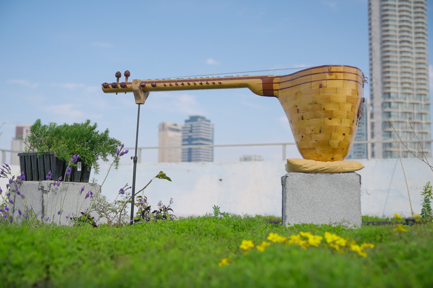 Detail of " The Singing of the Drones", wooden beehive sitar and wiled Israeli flowers, 2020 | Photo: Yotam Eytan.