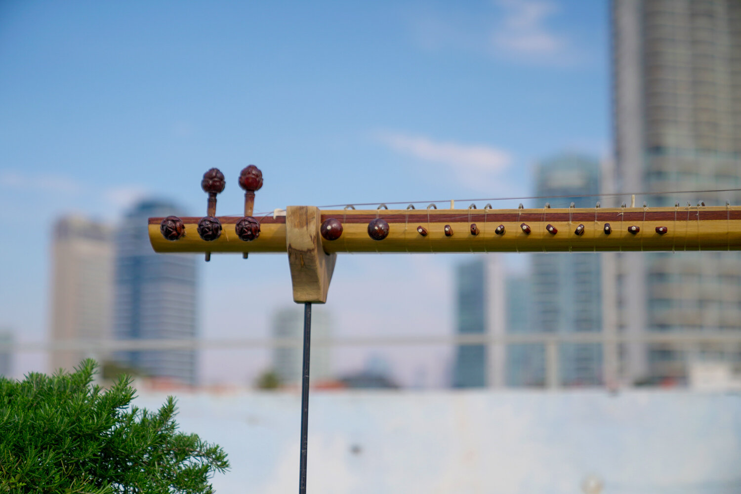 Detail of " The Singing of the Drones", wooden beehive sitar and wiled Israeli flowers, 2020 | Photo: Yotam Eytan.