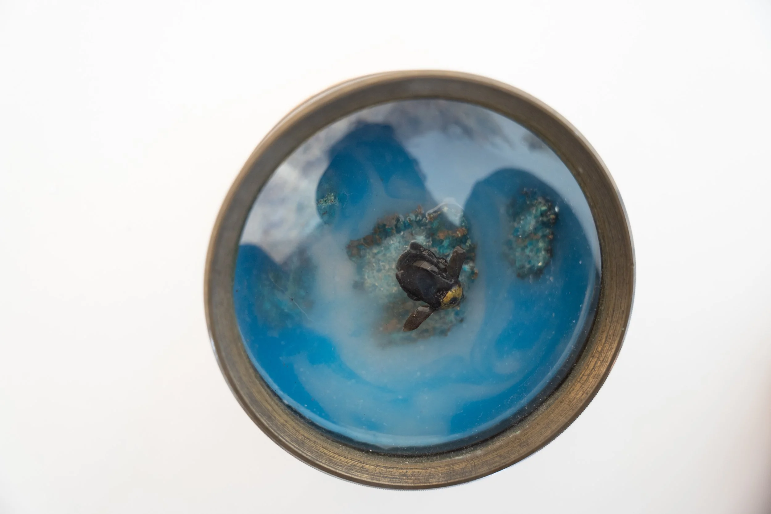 DSC02183 Photo by Efrat Mazor.jpg