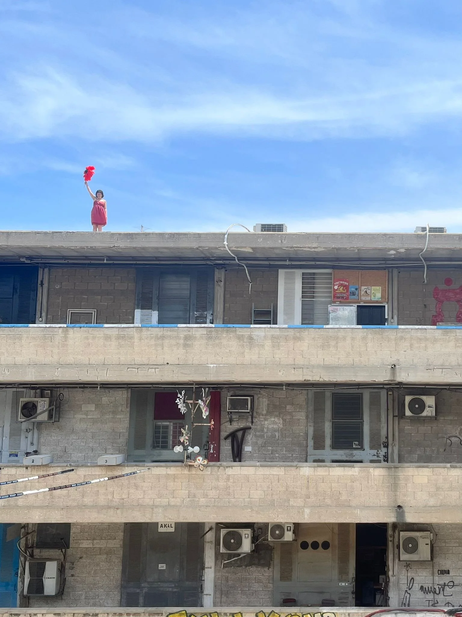 סימן עשן דריה אפרת אודיה זילבר.jpg