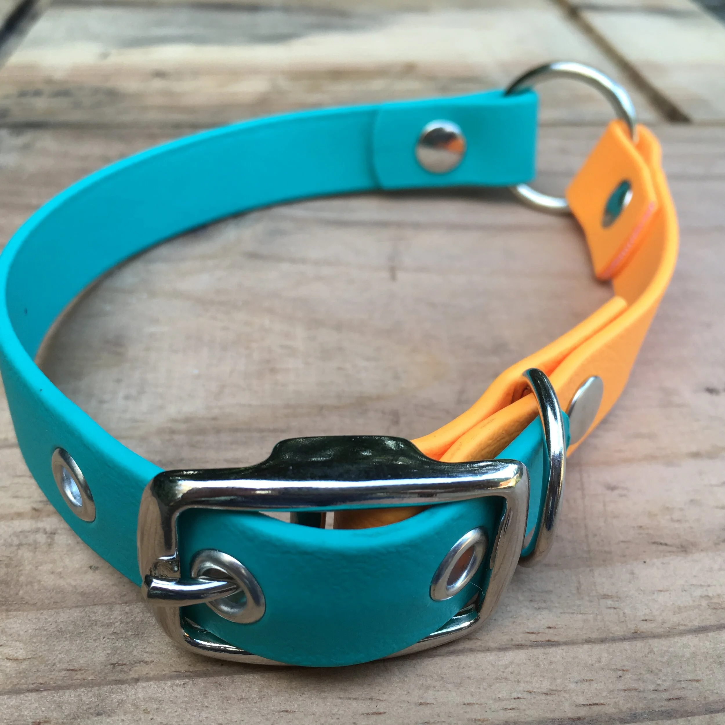 custom biothane collar