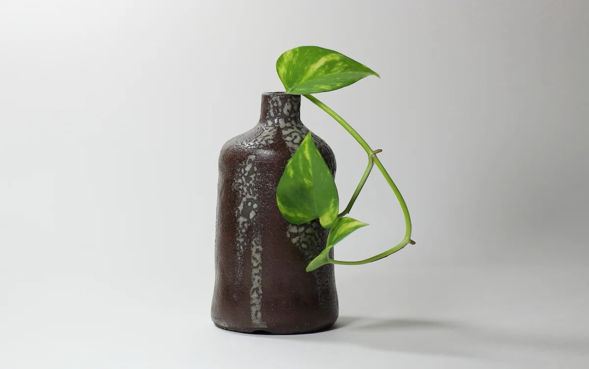 bouteille, émaux de cendres | ø 8cm x h 15.5cm