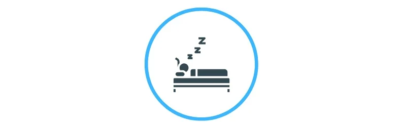 Tiny+Pause+Website+Update+%281%29.jpg