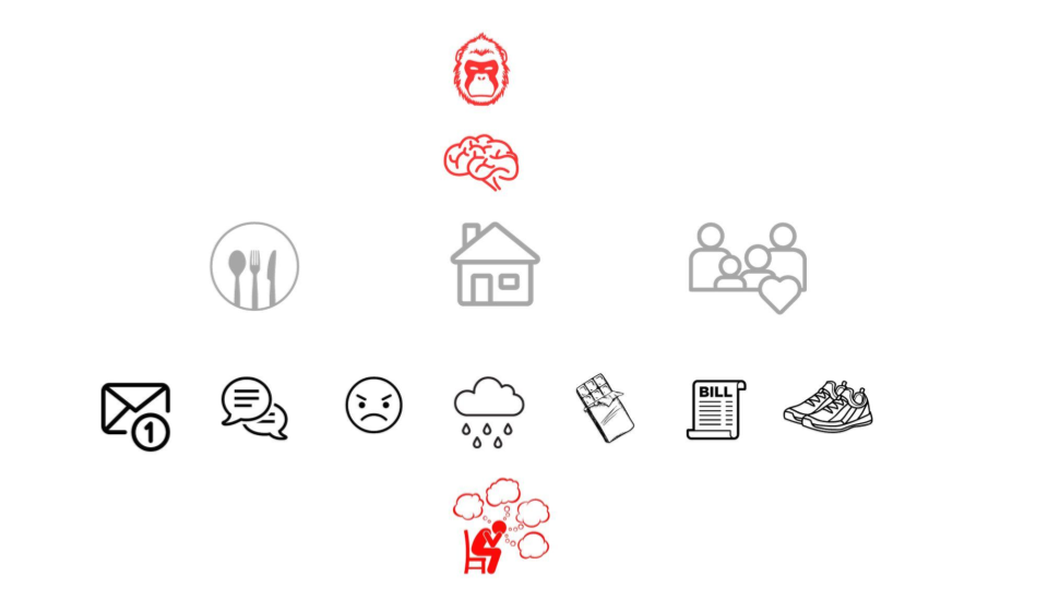 Neuroscience of Resilience