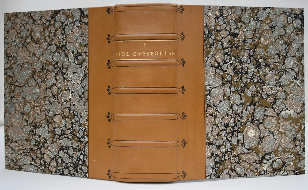 Welsh Bible.jpg