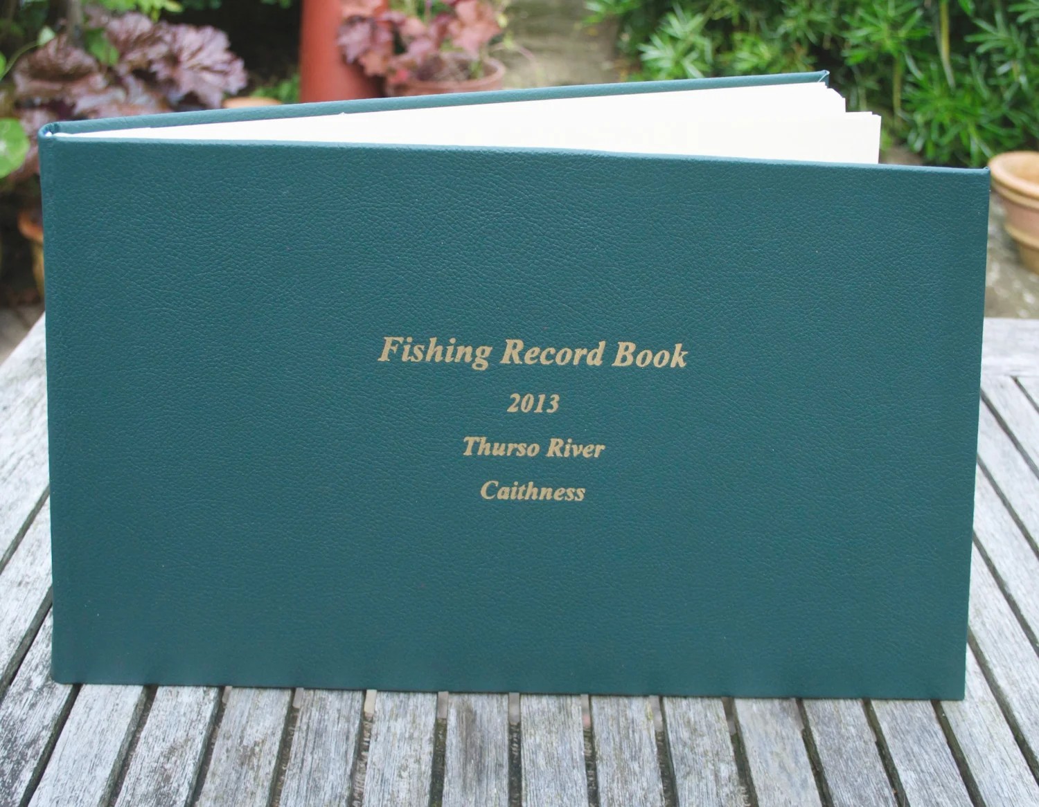 Books 14.jpg