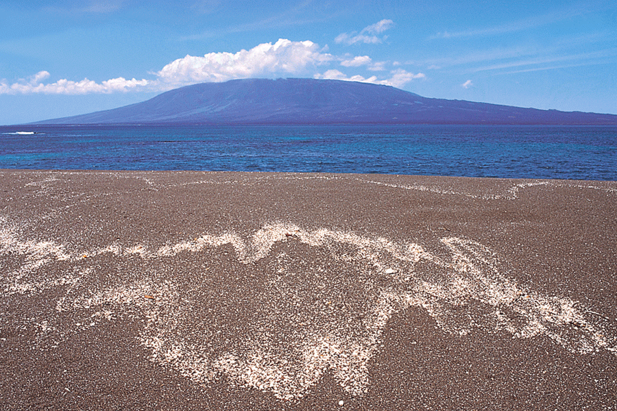Black sand beach
