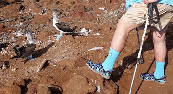 Linda rocking her Blue-footed Booby Socks on Seymour Norte Photo © Joanna Prukop