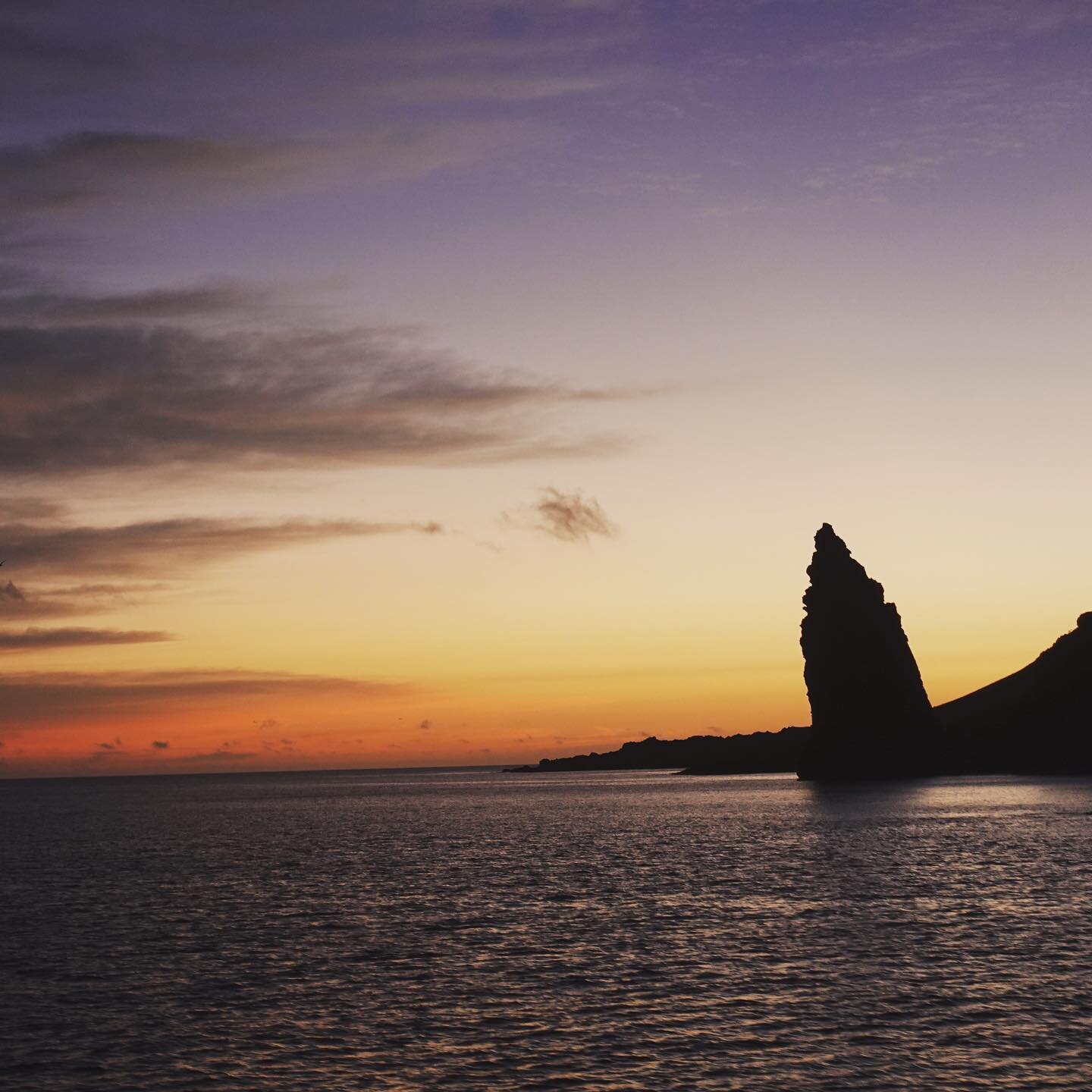 In addition to iconic flora,  fauna, and natural history, Gal&aacute;pagos is home to spectacular geological formations and sunsets, such as Bartolom&eacute; captured by INTEGRITY Naturalist Patricia Stucki. 
#galapagos #nature #naturephotography #in