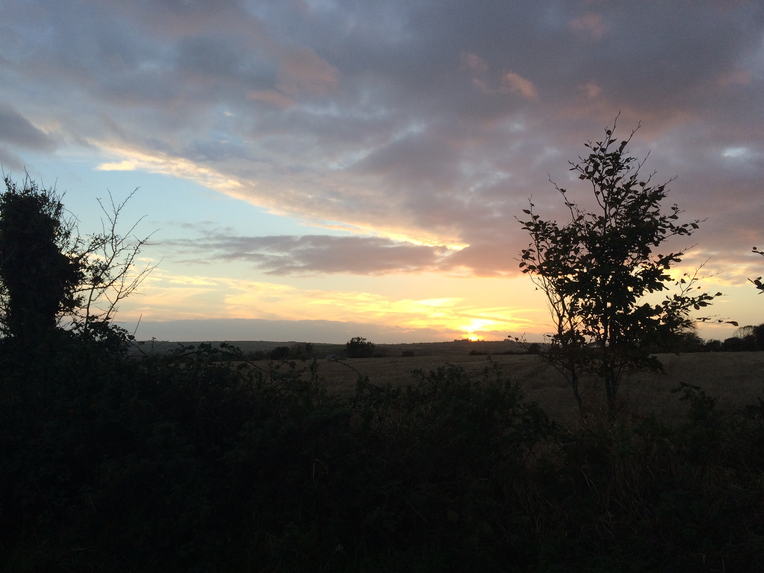 Sunset on my evening run