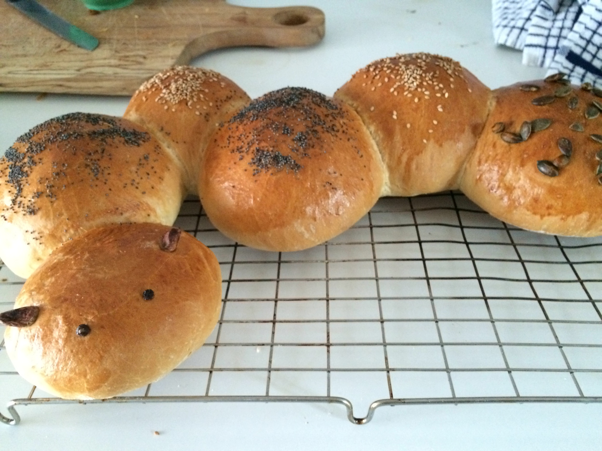 Caterpillar White Yeast Rolls!