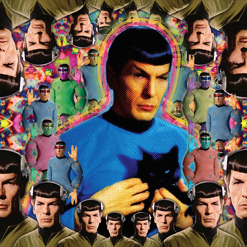 spock 11 x 11.jpg