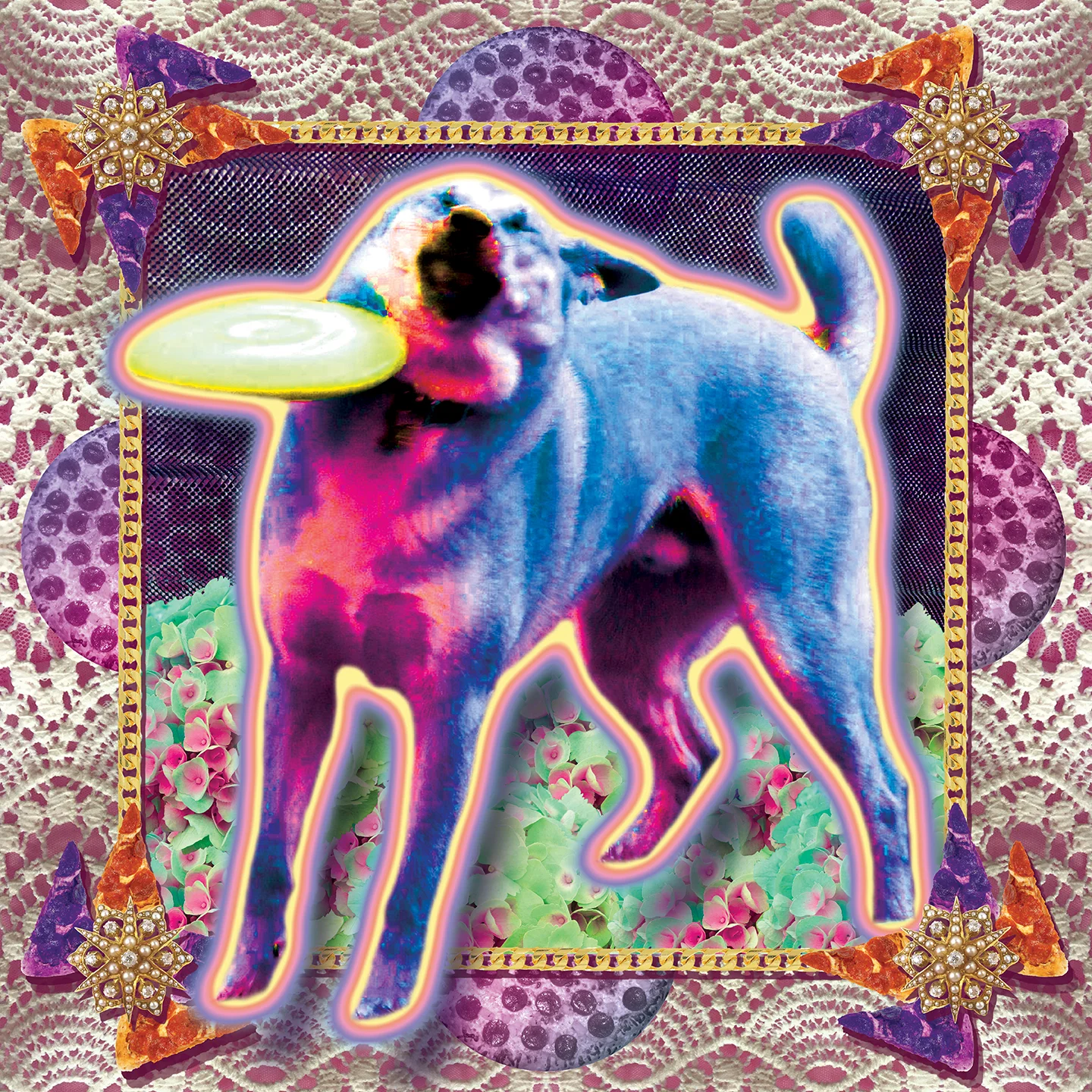 frisbee doge 11x11.jpg